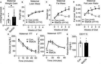 Offspring of Obese Dams Exhibit Sex-Differences in Pancreatic Heparan Sulfate Glycosaminoglycans and Islet Insulin Secretion